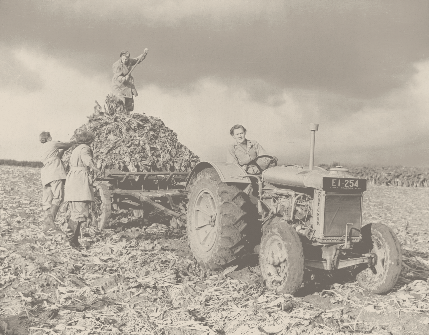 Steinbeck Female Farmer