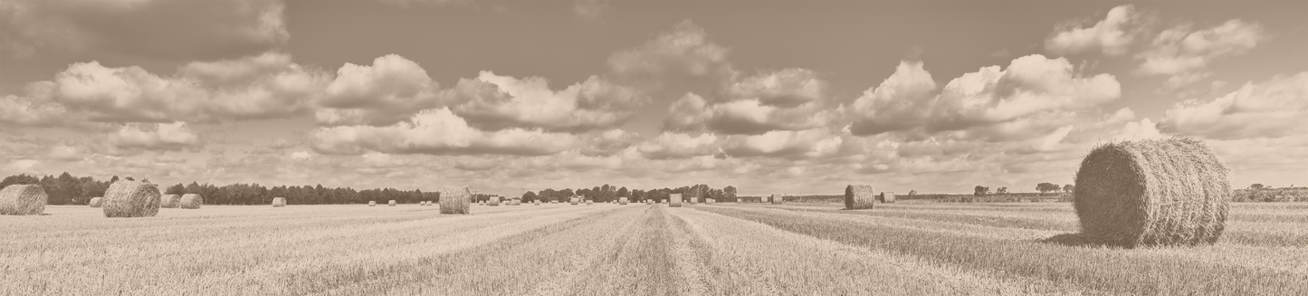 Panoramic Hay Bales 5298