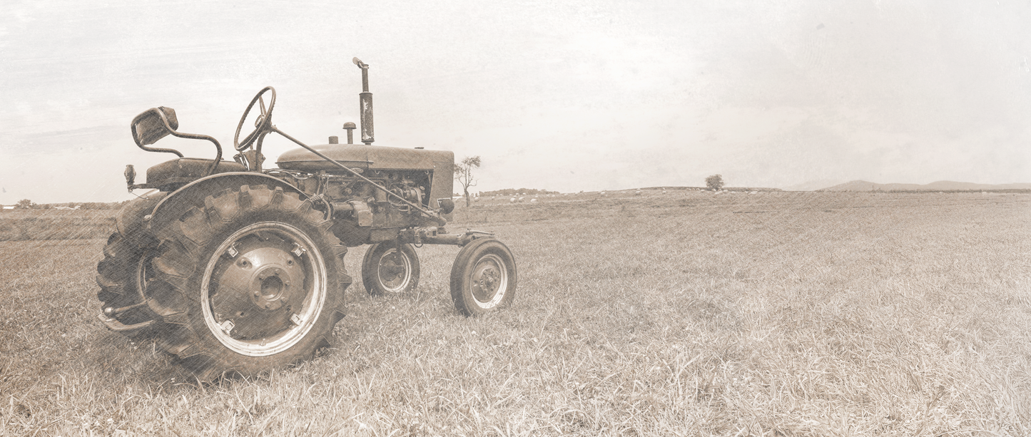 Classic Tractor in the Field Mural