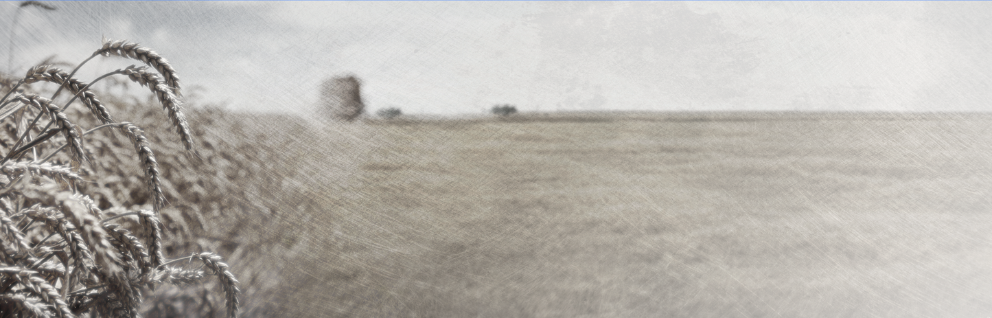 Wheat Field Mural