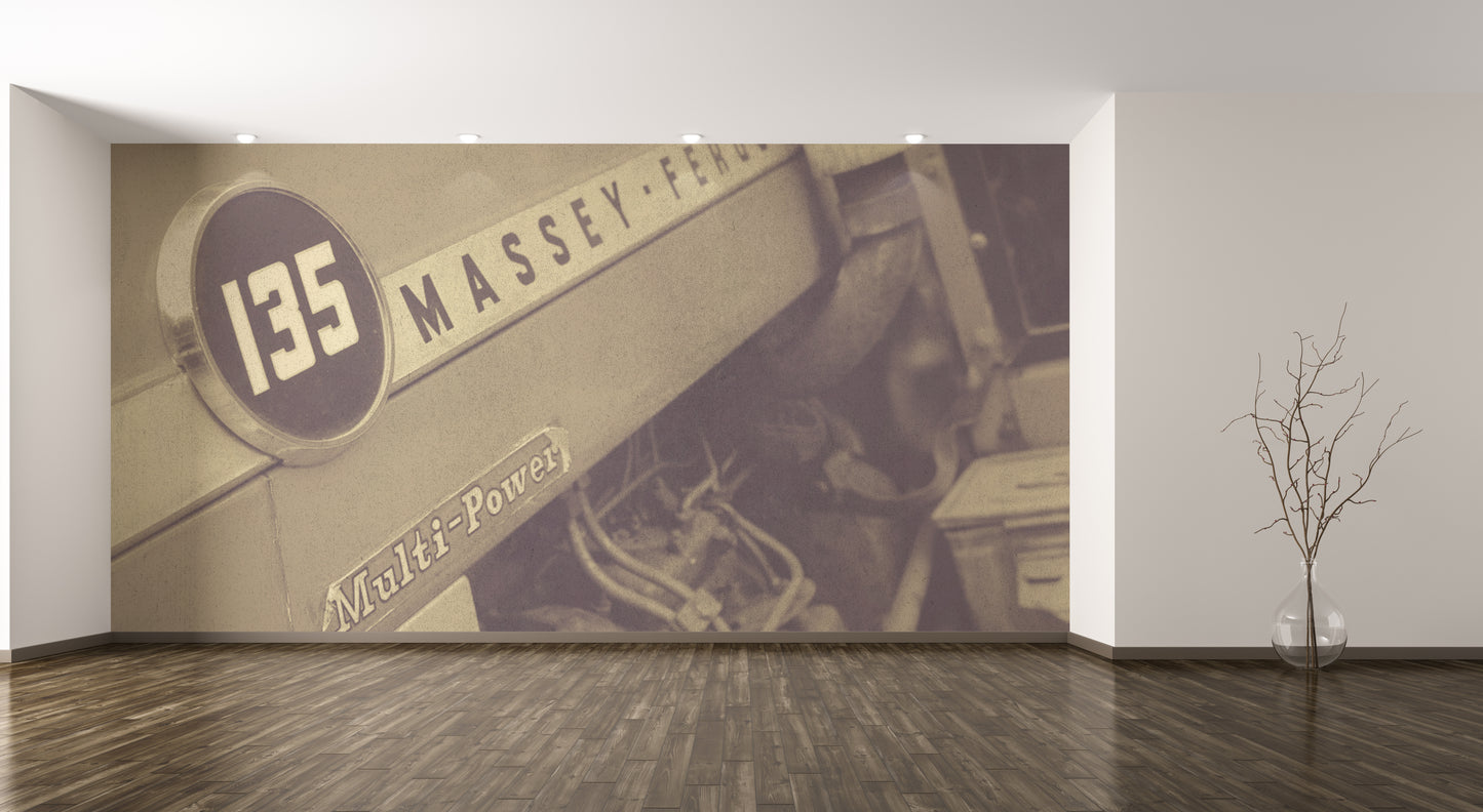 Massey 135 Close Up