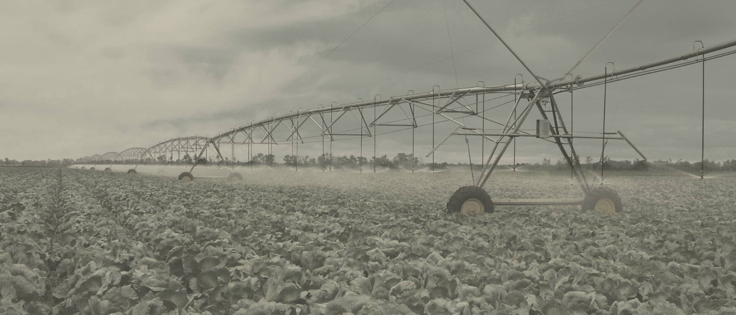 Irrigation Field