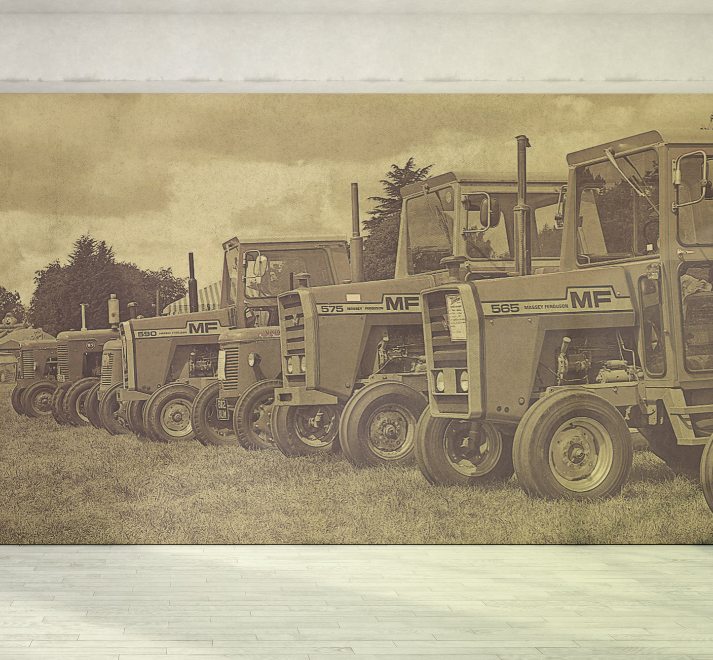 Classic Massey 565