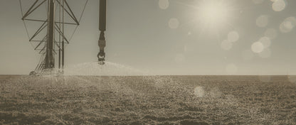 Wheel Sprayer on Crop