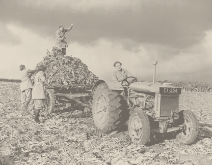 Steinbeck Female Farmer