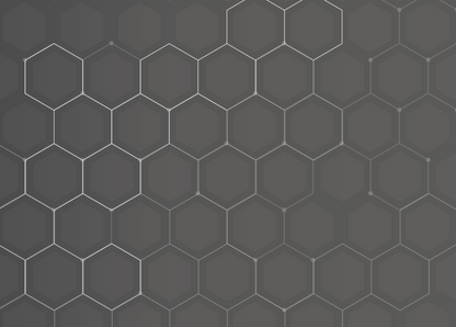 Hallway Hexagon Mural