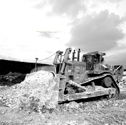 Legacy D10