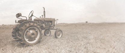 Classic Tractor in the Field