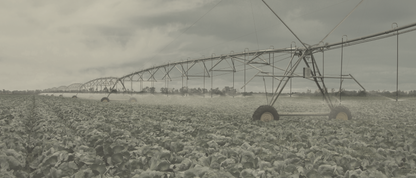 AGCO Irrigation Field
