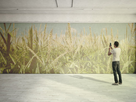 Corn Mural 5429